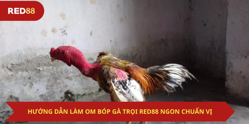 Hướng Dẫn Làm Om Bóp Gà Trọi Red88 Ngon Chuẩn Vị